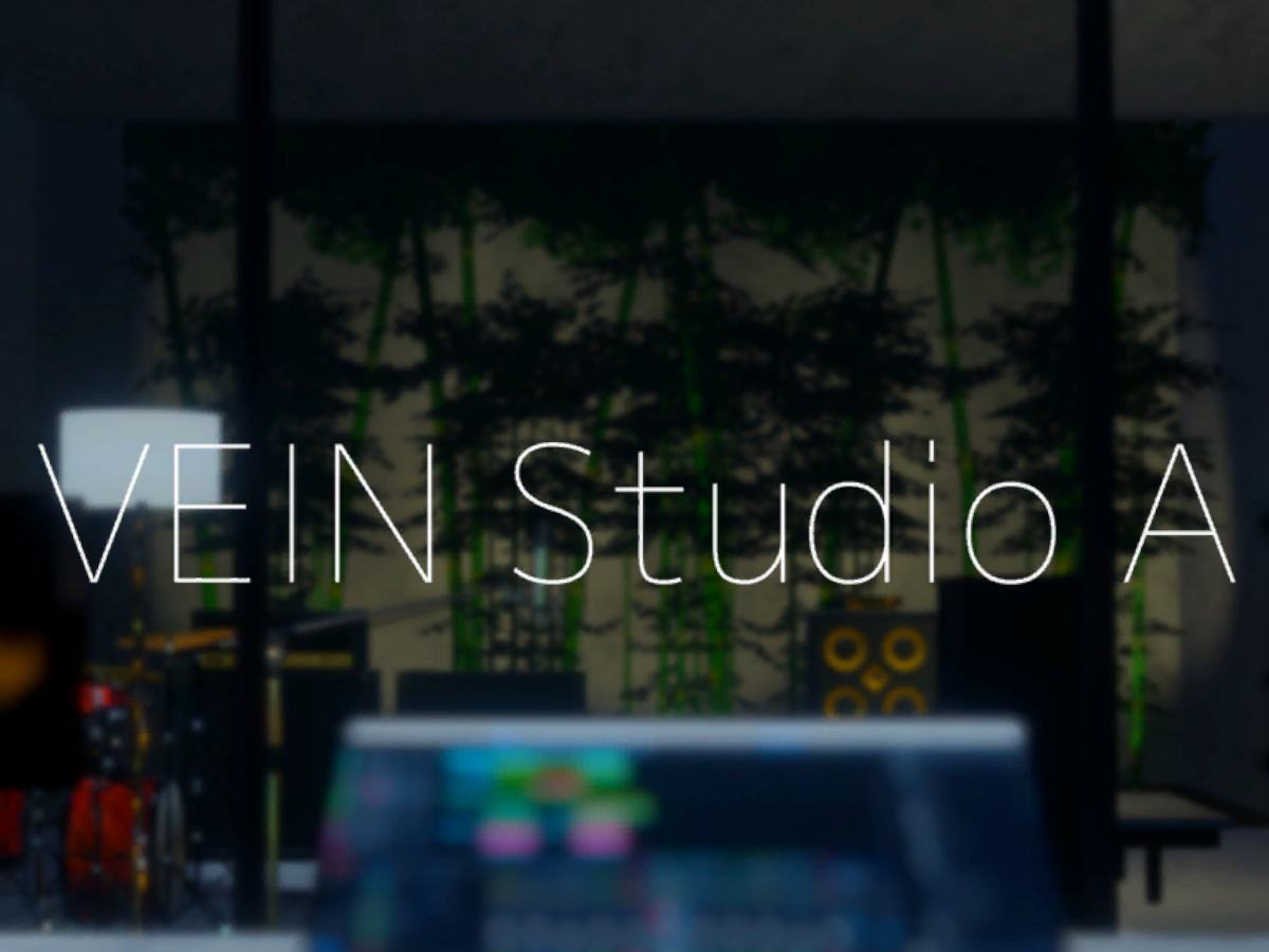 VEIN music studio