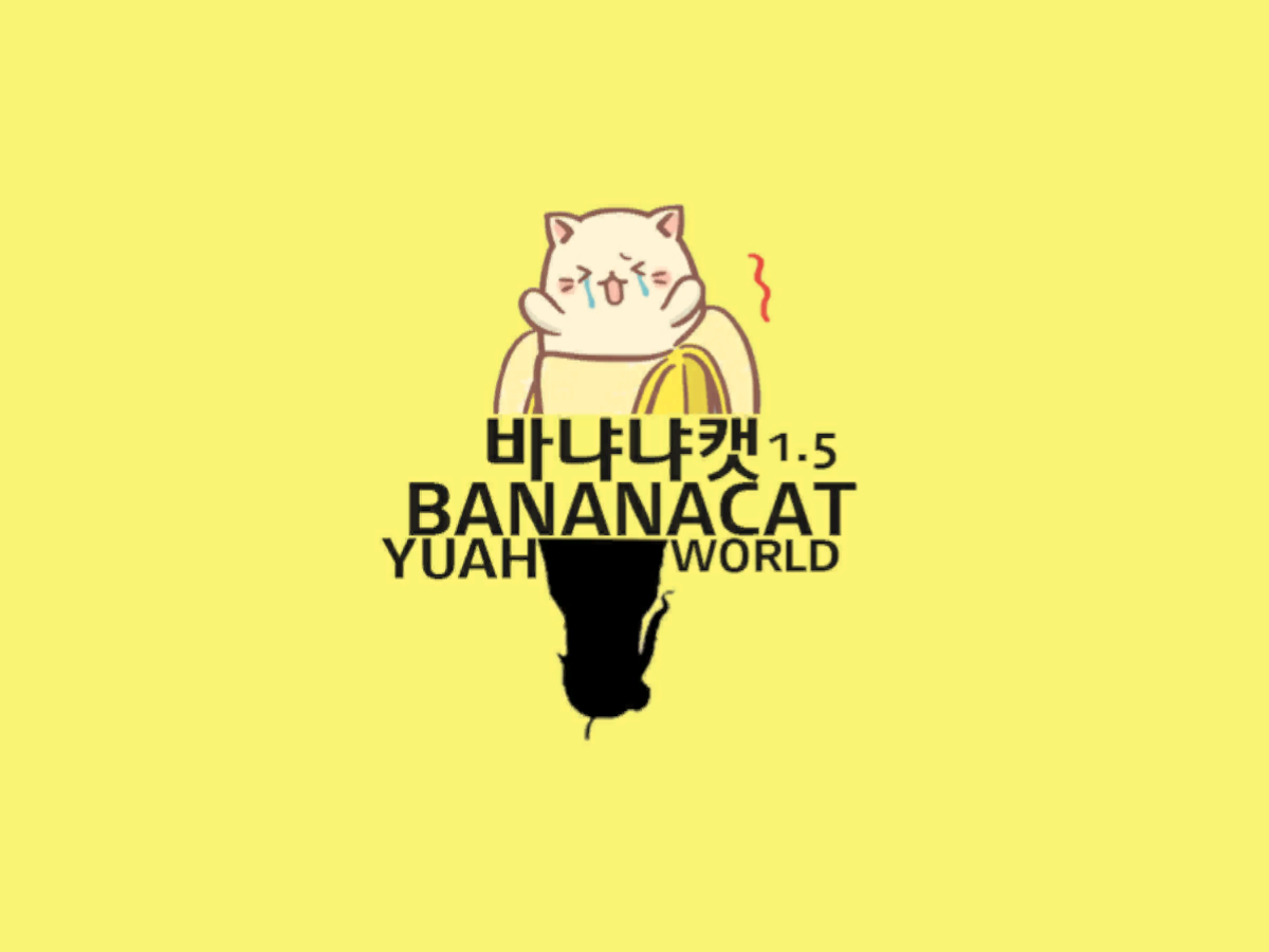 BANANACAT WORLD