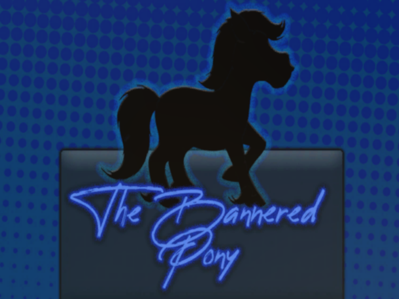 The Bannered Pony