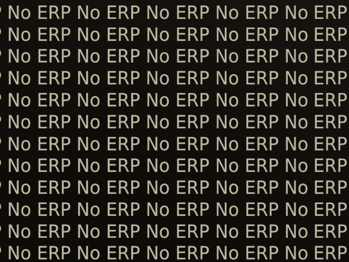 Anti ERP world