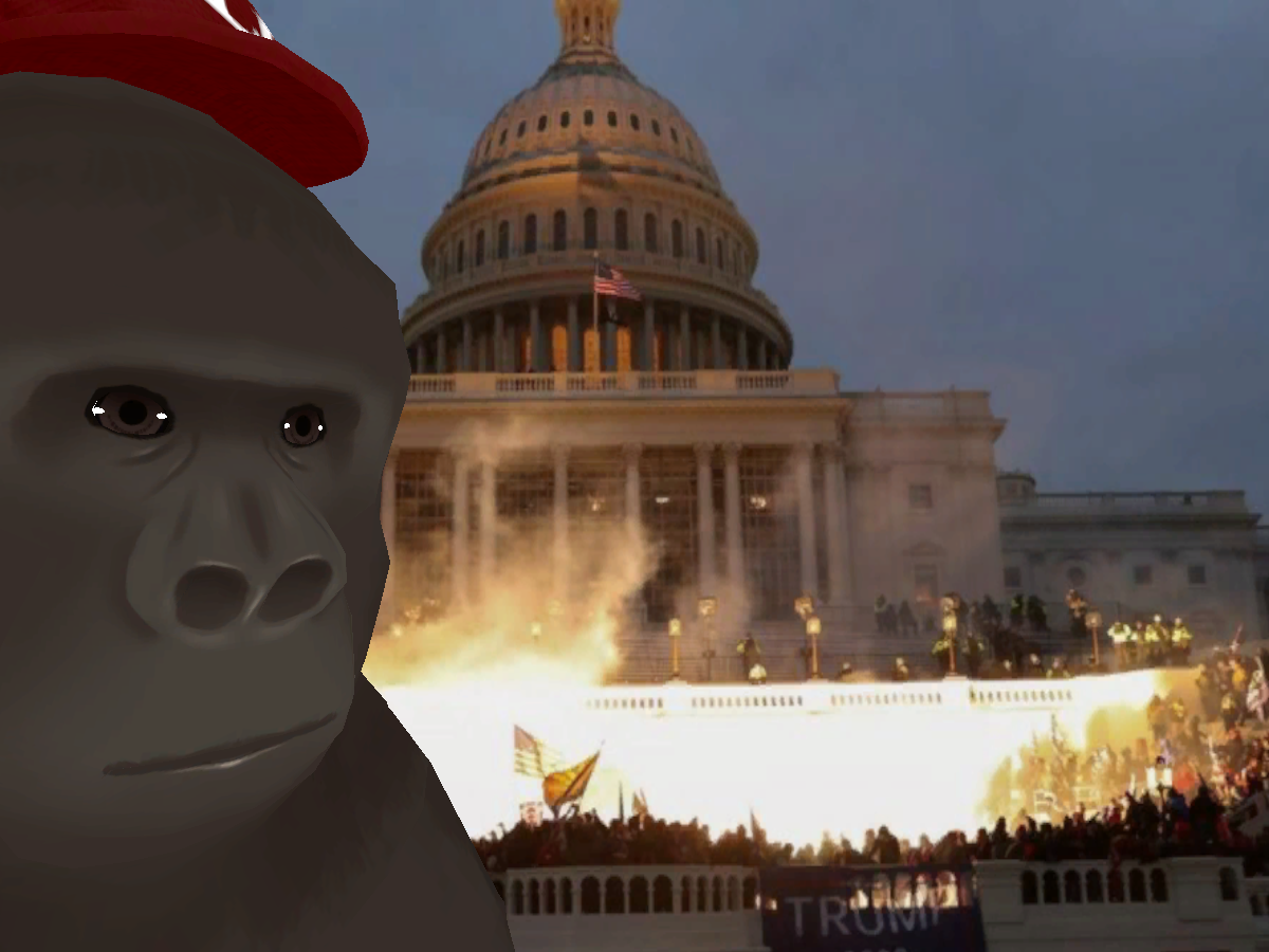 Storming the Capitol Building in VR