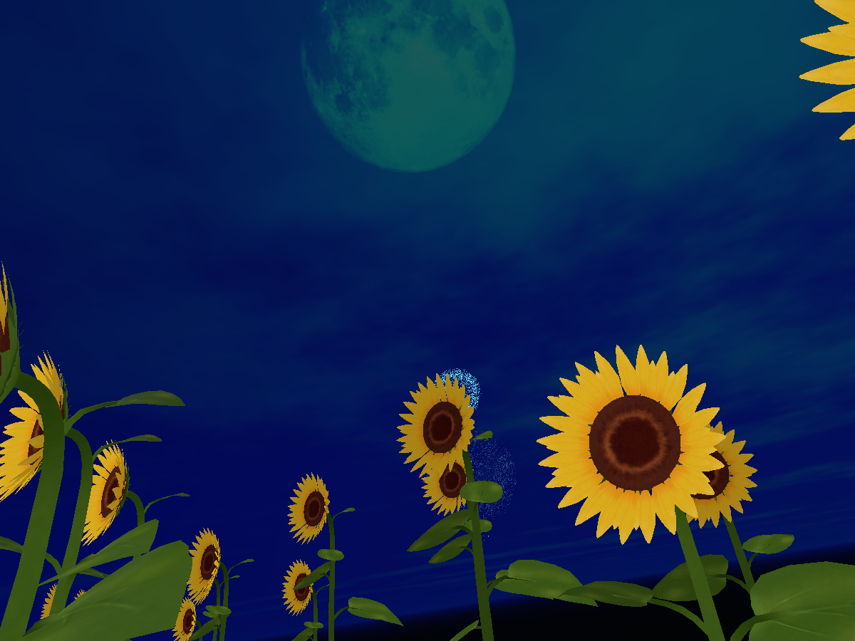 Sunflower＆fireworks