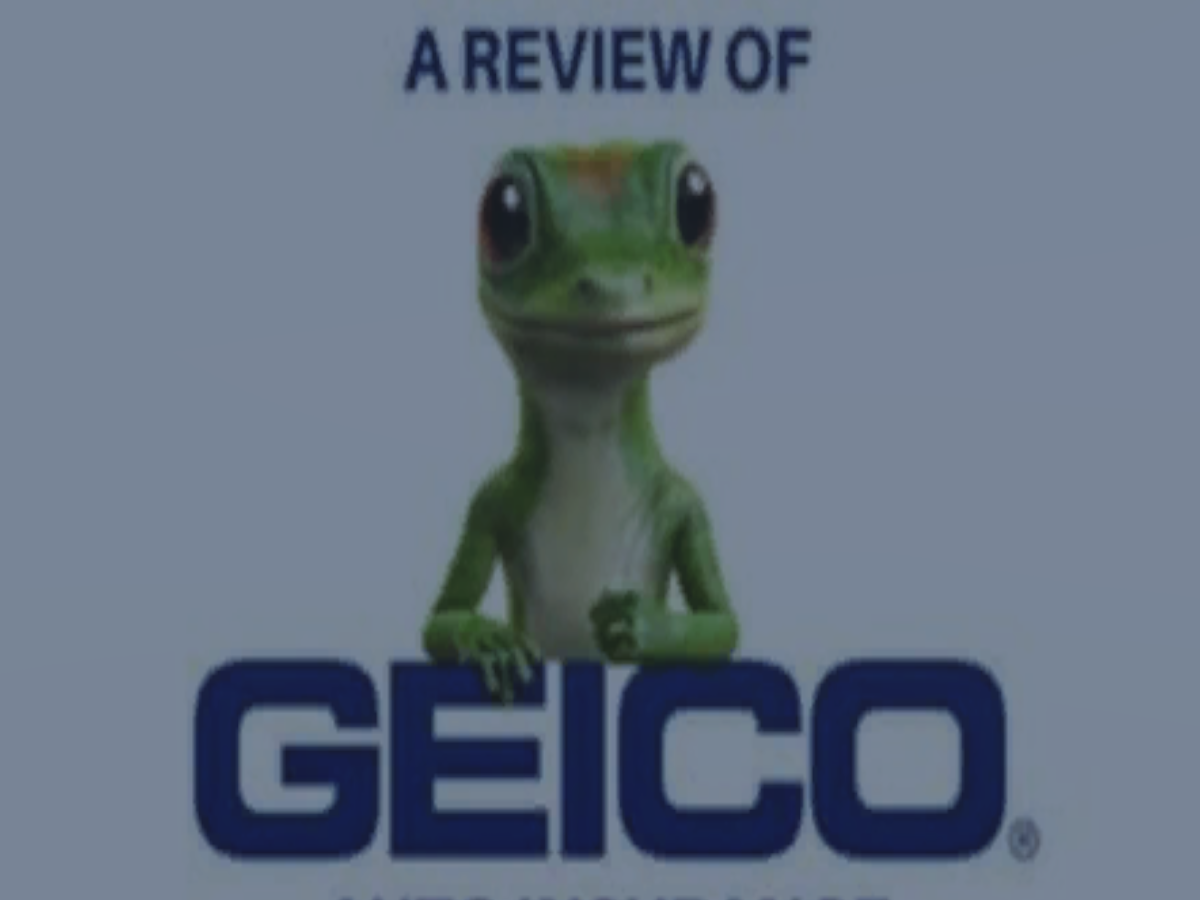 Revolutionary-gecko avatar ․world