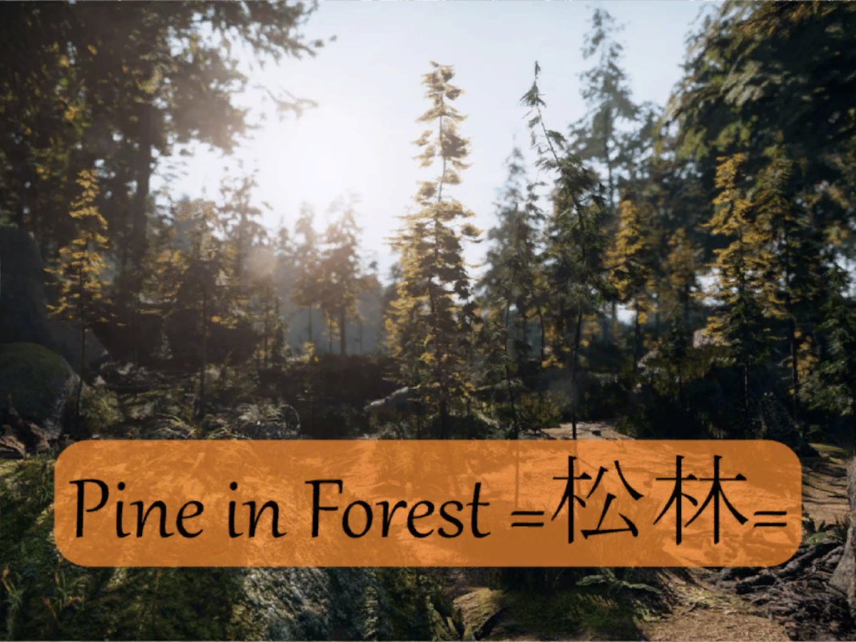 Pine in Forest ＝松林＝