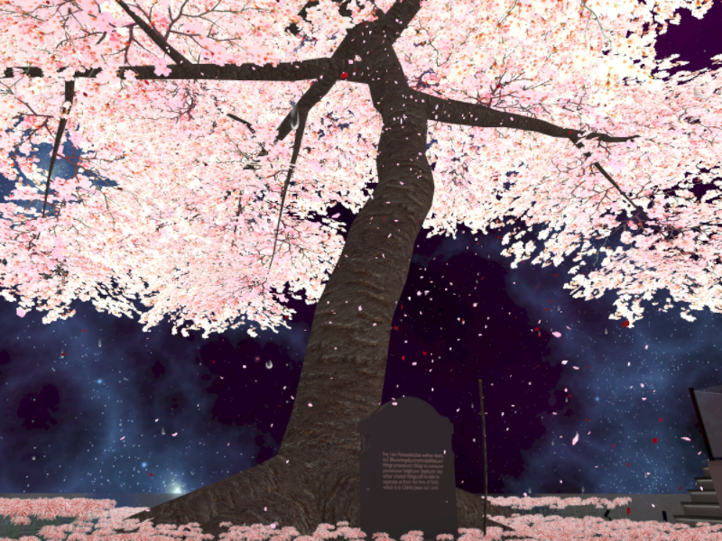 水の上の桜の木