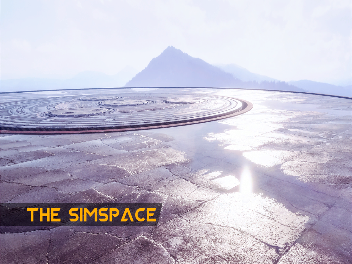 The Simspace
