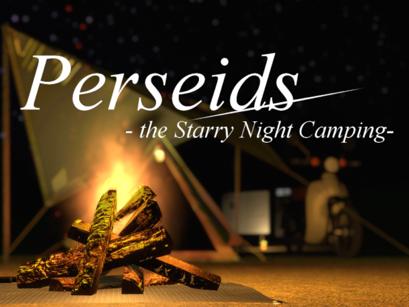 Perseids -the Starry Night Camping-