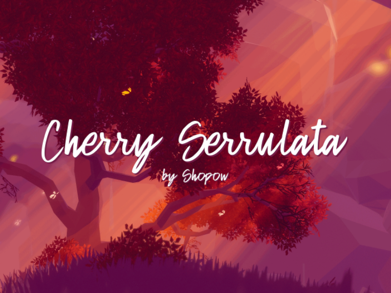 Cherry Serrulata