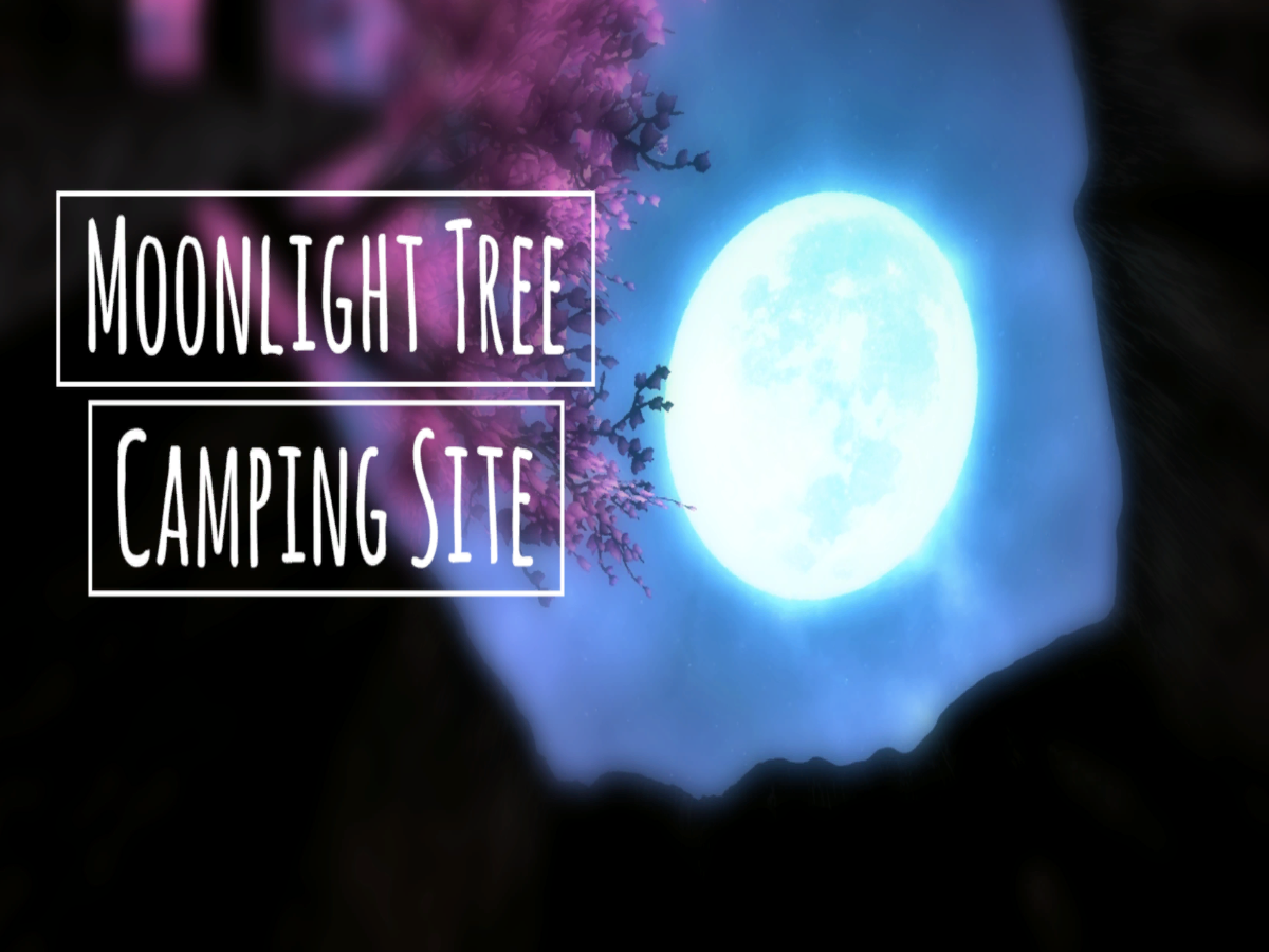 Moonlight Tree Camping Site