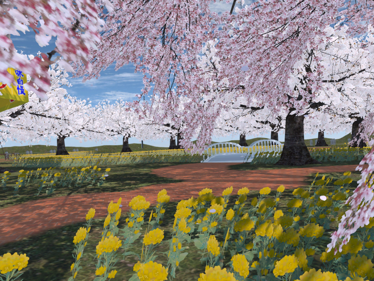 2023お花見 Cherry blossom garden