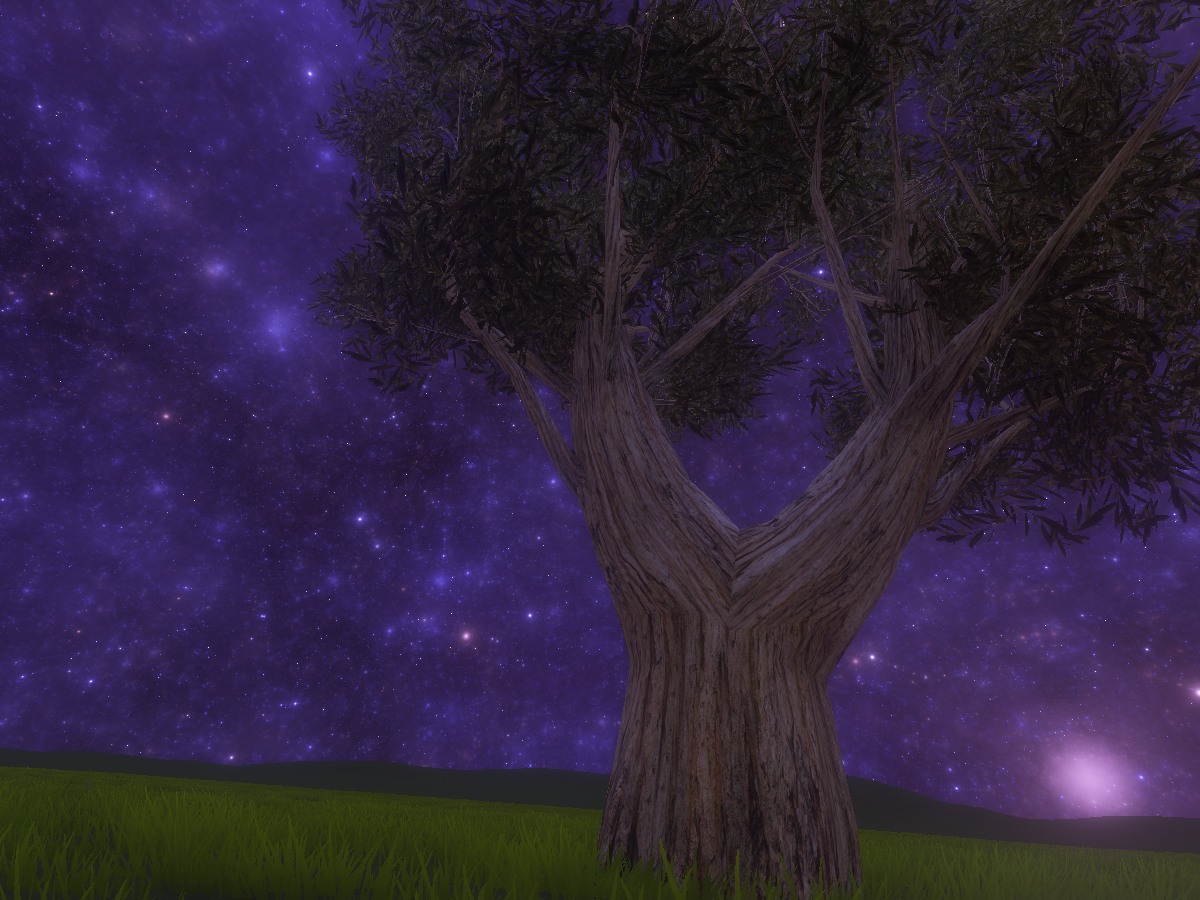 SolitaryTrees Night