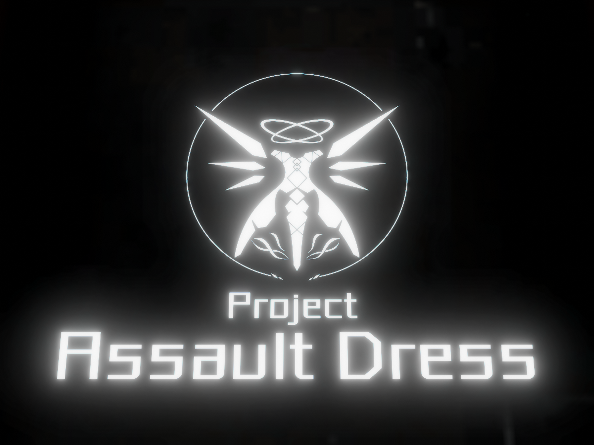Project Assault Dress Meeting 3rd