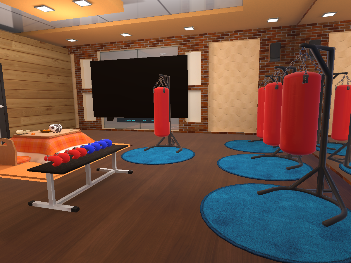 Boxing fitness room