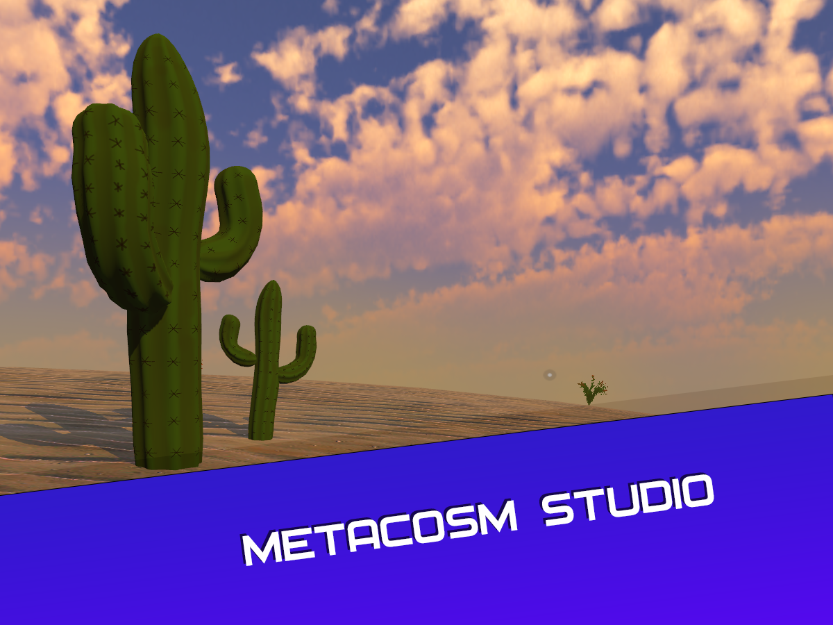 Desert Scene - Metacosm Studio