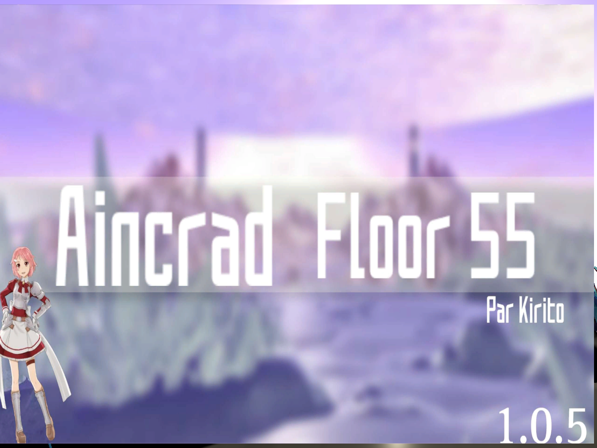 SAO ˸ Aincrad Floor 55