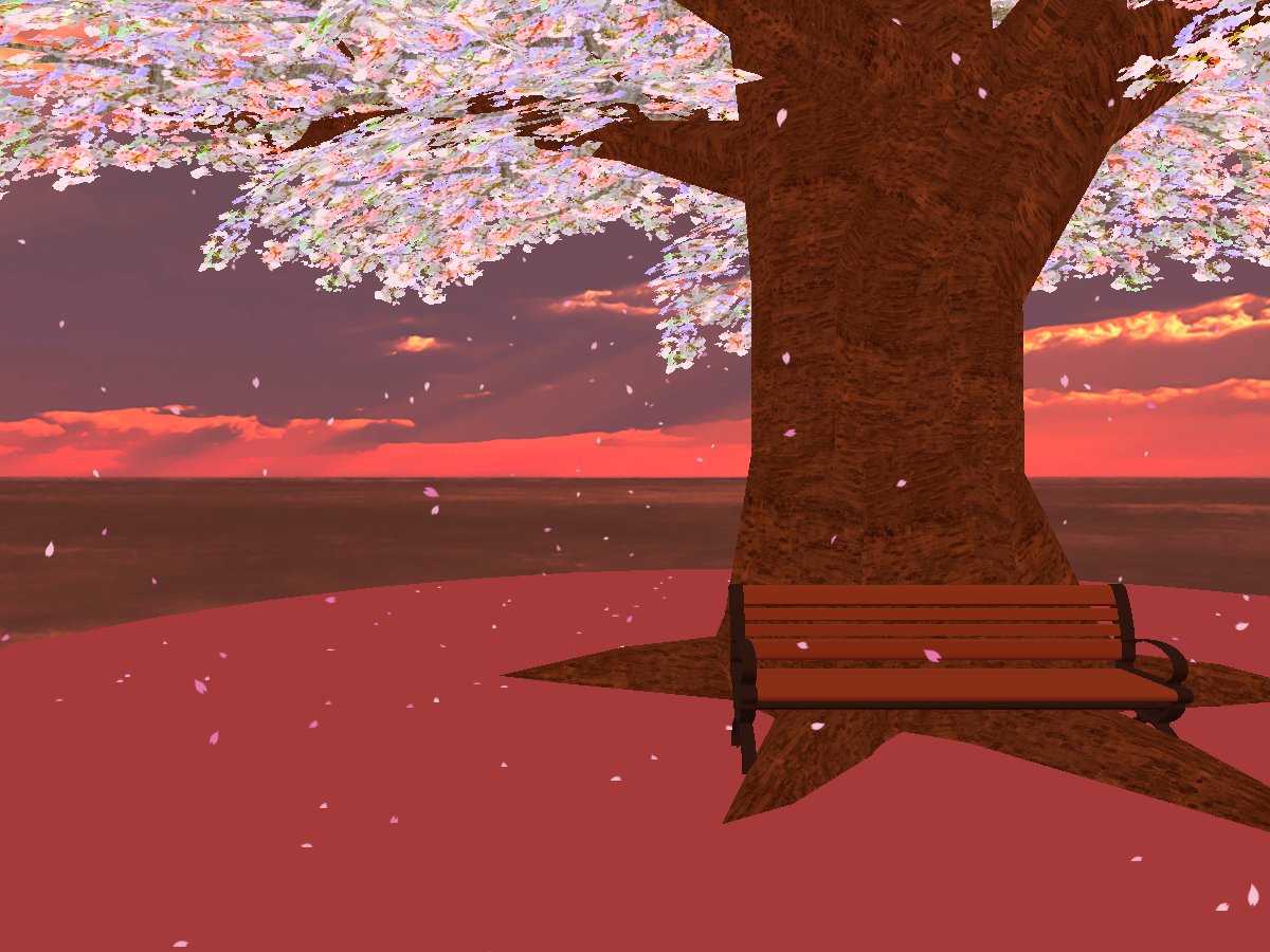 cherry blossom with sunset