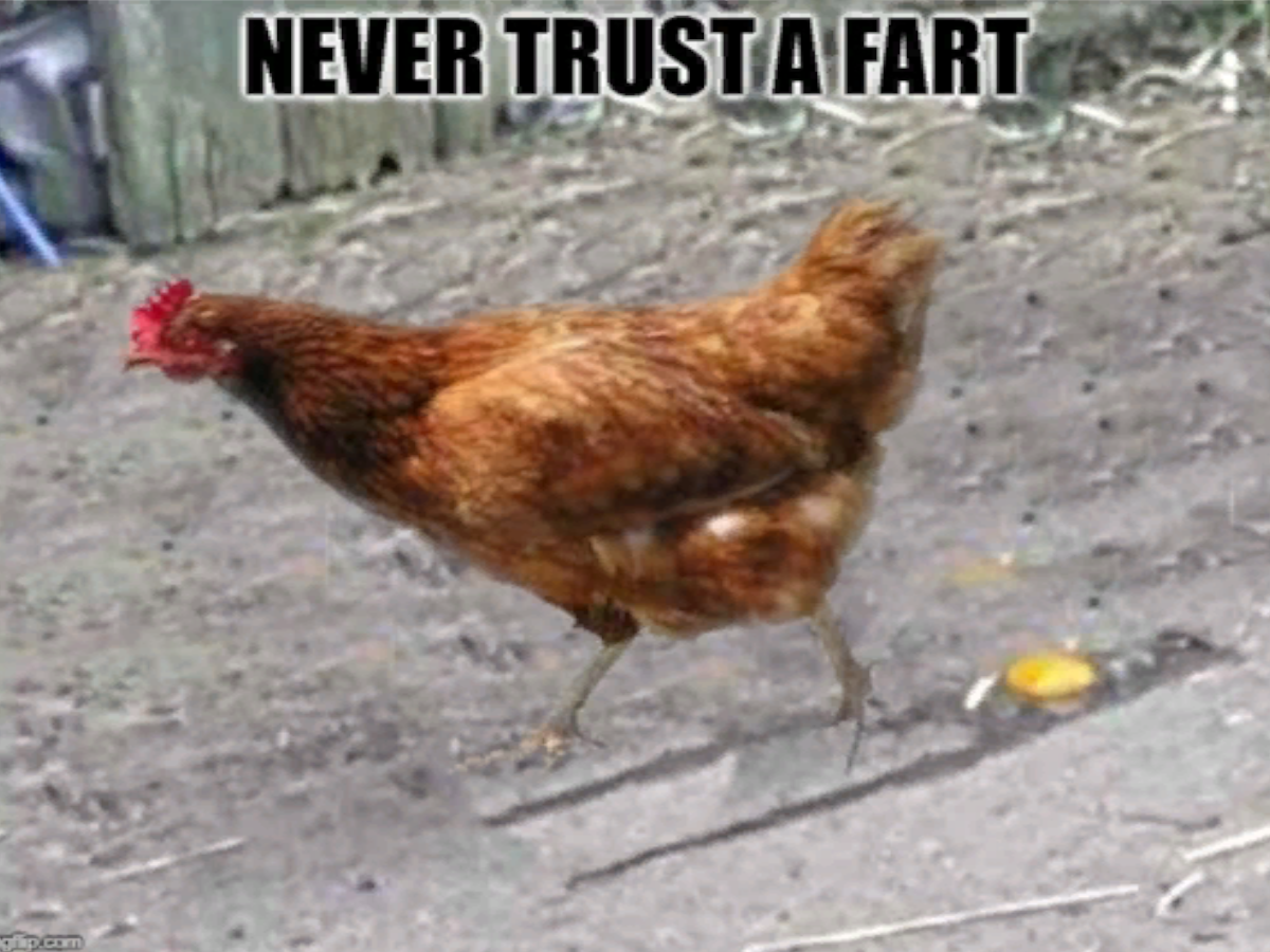 Never Trust a Fart