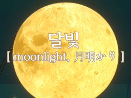 달빛 ［ moonlight‚ 月明かり ］
