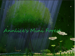 Annlice's Mini Forest