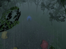 Rainy Forest