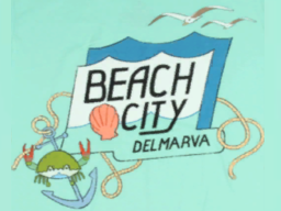Steven Universe Save The Light˸ Beach City