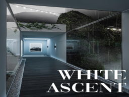 White Ascent at Night