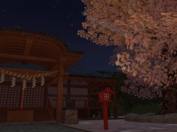 夜の花見⁄Night CherryBlossom
