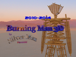 Burning Man 3D 2010-2014