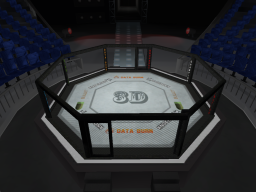 The Octagon