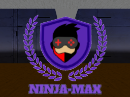 Ninja-Max Avatar World