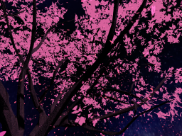 Wilted of Sakura