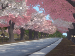 Sakura mountain road - 桜の道