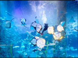 Deep sea aquarium
