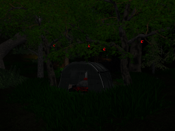 DarkCloud Camp World