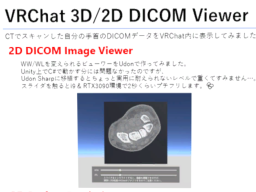 2D⁄ 3D DICOM Viewer Lab