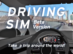 Driving Sim