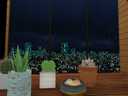 Night（City） （Rain）