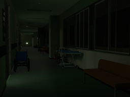 夏の夜間病棟（Summer Night Hospital）