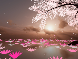 Sakura Sun Set