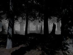 4K Horror Forest