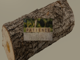 Log of Patience
