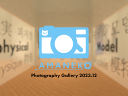 2023․12 Amaneko photography gallery