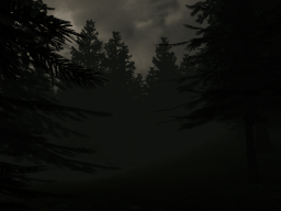 Shadowed Forest