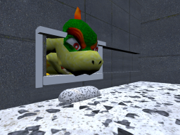 The Bowser Room