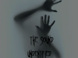 THE SOUND （unidentified）
