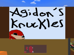 Agidons Knuckles