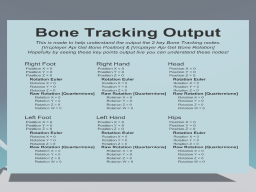 Bone Tracking Output
