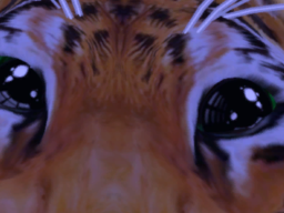 Tiger Island avatar