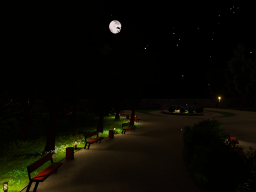Night Walk In The Park