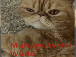 Murrays Avatar World